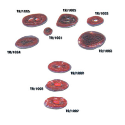 Non Bleeding Moulages - Chest Wound