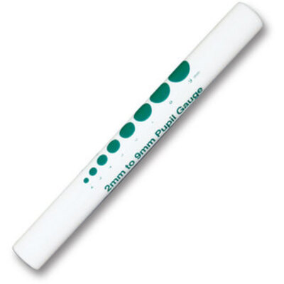 Disposable Penlight Torch - Single