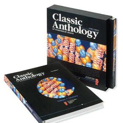 Anatomical Flipcharts Collection - Laminated